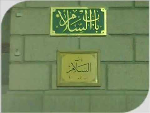 ياحمامه غريبه عند باب السلام ربابه