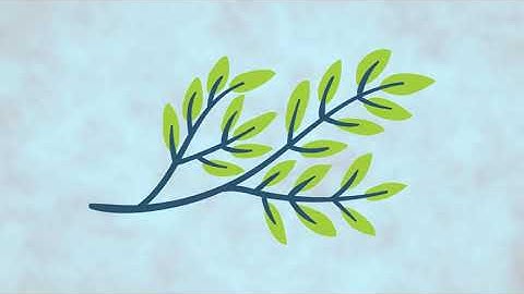 Adams Lane Video Tour