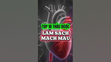 TOP 10 THẢO DƯỢC LÀM SẠCH MẠCH MÁU