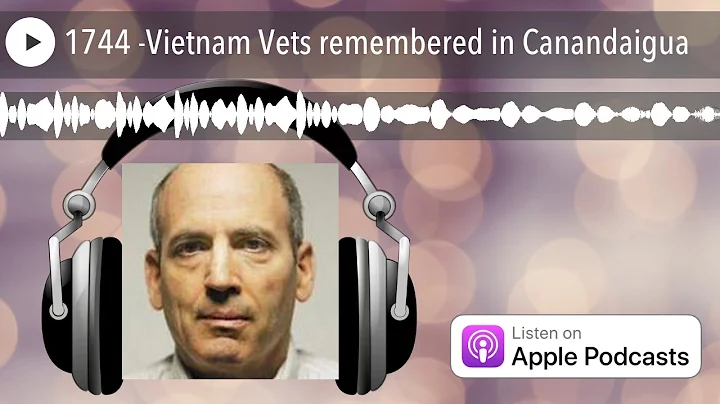 Vietnam Savaşı Kahramanlarından Anılar: Canandaigua'da Anma Töreni