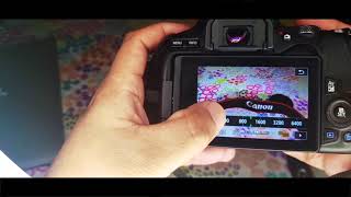 Canon 250D APERTURE, SHUTTER ISO TUTORIAL