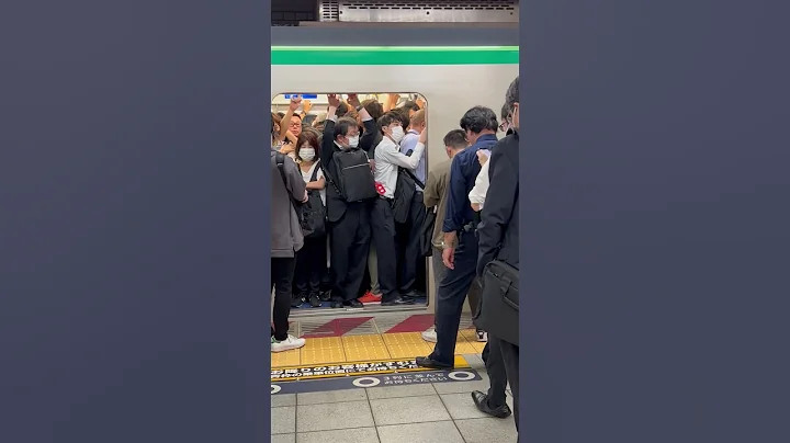 Train Crowds during Rush Hour in Tokyo