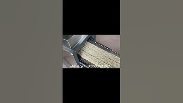 Start a small instant noodle production line