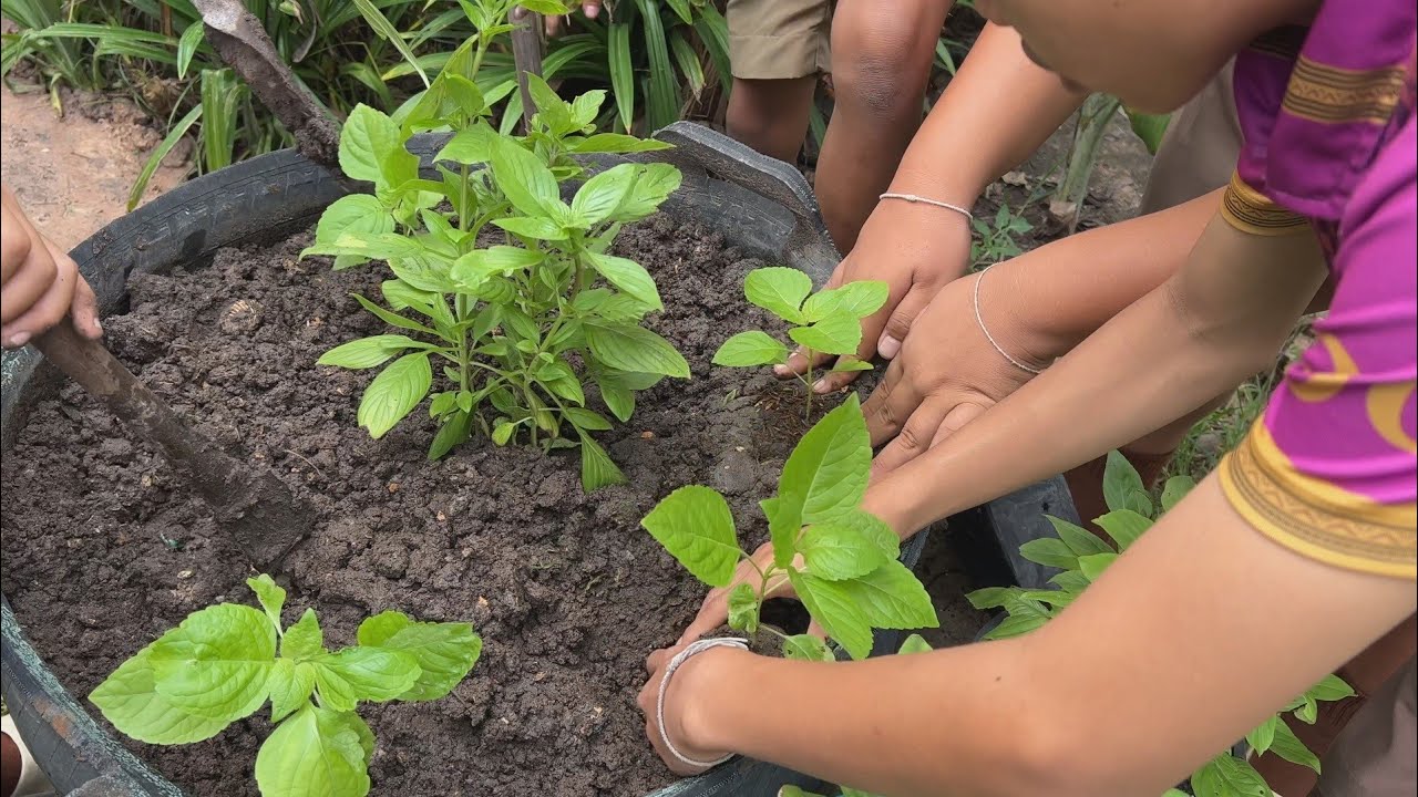 การดำเนินงานโครงการโรงเรียนรักษ์สิ่งแวดล้อมรร.ผักเผ็ดจ้อก้อน้อยคูขาม สพป.รอ.2