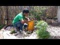 Descubre Cómo Decorar un Jardín Pequeño Aquí!
