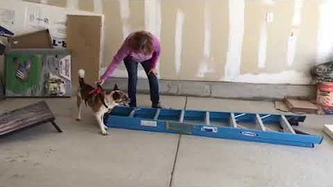 IMG 1611 1