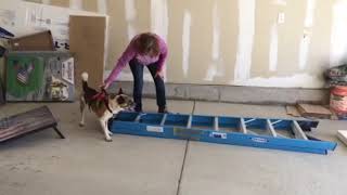 IMG 1611 1