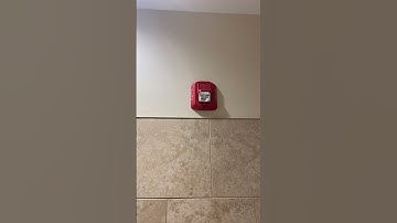 System Sensor L Series SRL Remote Strobe