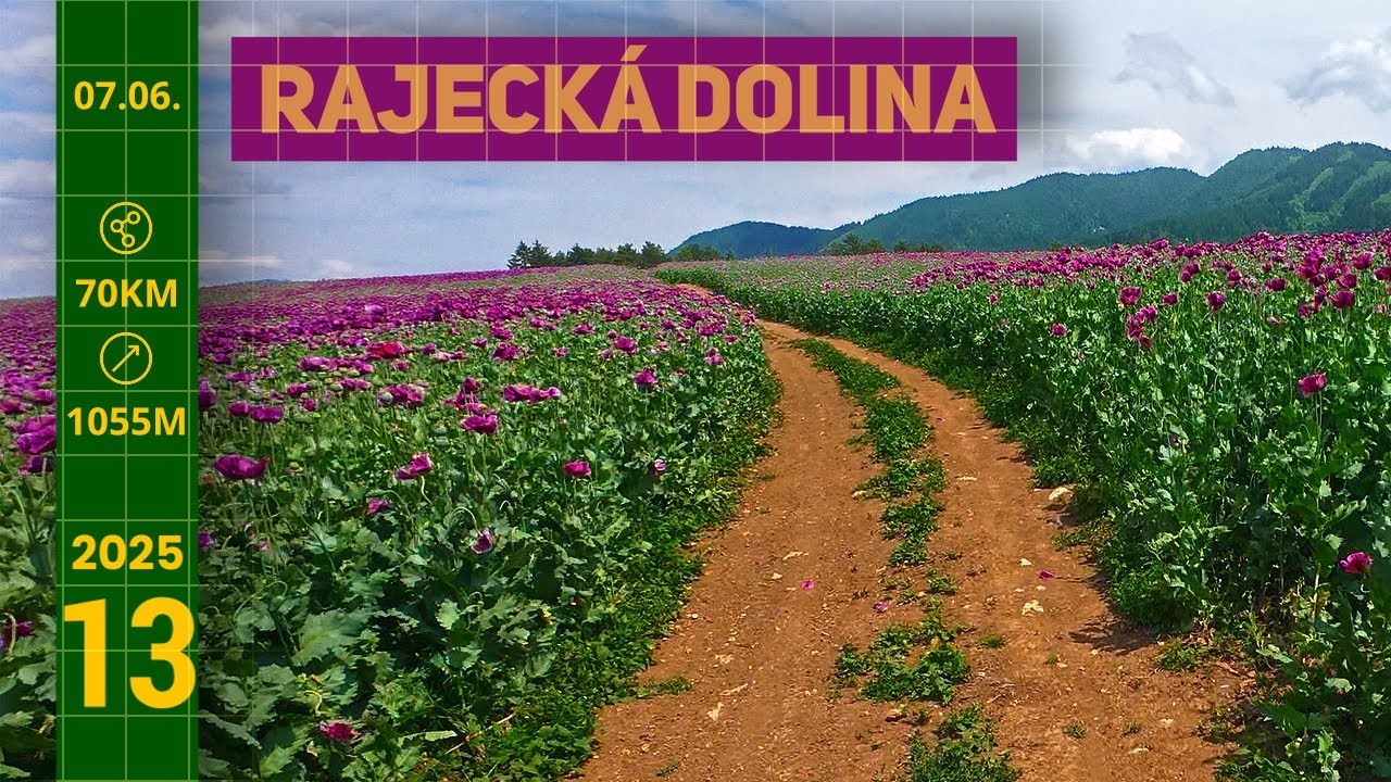 Rajecká Lesná:  Gejzír, Lavička a Makove Polia kde sme sa trocha stratili :)