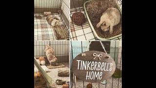 tinkerbell’s home tour | alivia’s animals