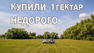 👍 Купили 1 гектар НЕДОРОГО!