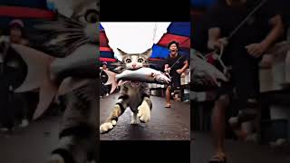 GOT ARRESTED - SOUND EFFECTS - ARRESTADO - FREE