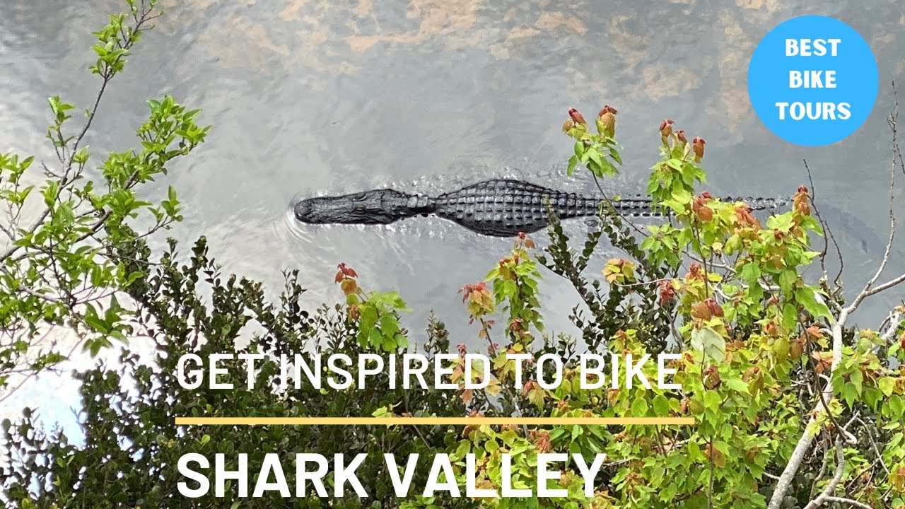 Best Bike Tours - Shark Valley, Miami, Florida