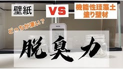 ダイキチャンネル Youtube