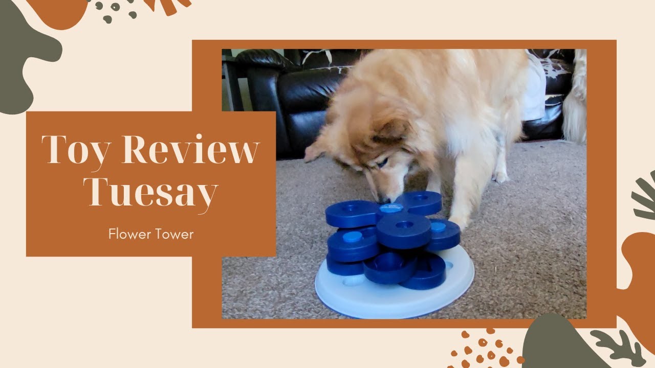 Dog Enrichment Activities: Trixie Dog Toys