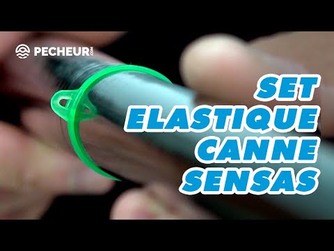 Set élastique canne Sensas