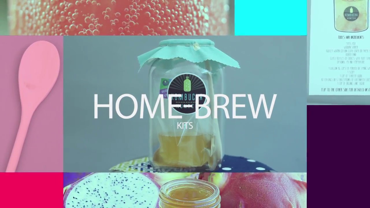 Kombucha Home-Brewing Kit — Kombucha Hunter