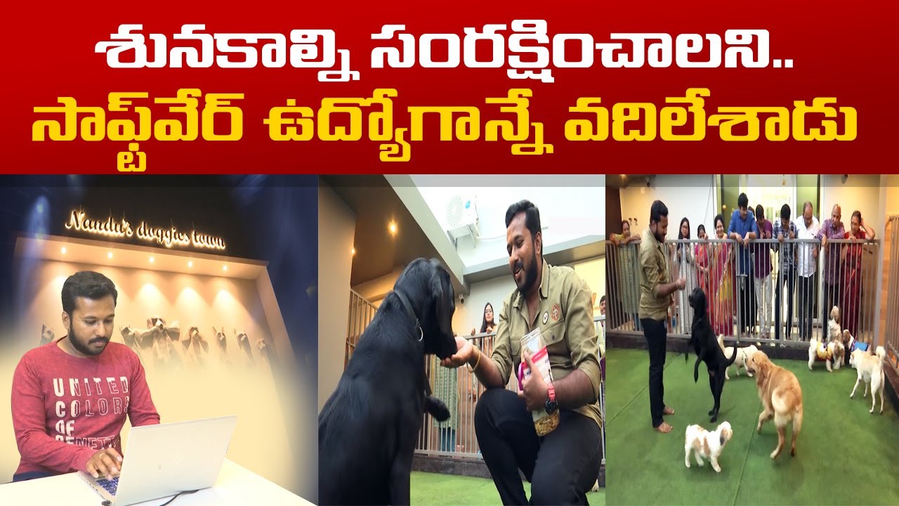 Special Story Of Vijayawada Youngster Starts Dog Care Center With