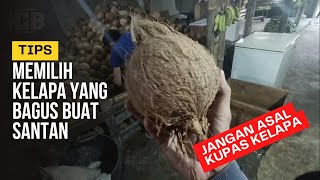 HOW TO CHOOSE A GOOD COCONUT FOR COCONUT MILK//DON'T BUY THE WRONG ONE