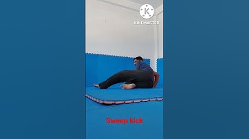 SWEEP KICK IN PENCAK SILAT #martialarts #fight #pencaksilat #kungfu #india
