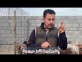 مشروع ربط الماعز مربح جدا