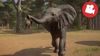 Planet Zoo: Live Cameras! | Beekse Bergens Middle Area 🐘🦒🦍