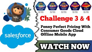 Penny Perfect Pricing with Consumer Goods Cloud Offline Mobile App | Salesforce | Challenge 3 & 4