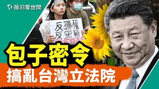 台灣太陽花2.0的背後是擴權還是改革？台灣人覺醒了嗎？｜薇羽看世間 20240522