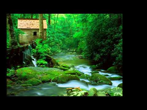 堂娜~別戀