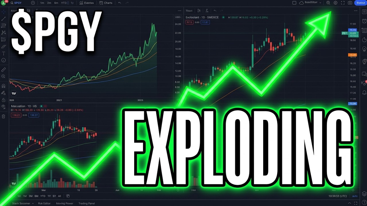 PGY Stock: Now a Central Talking Point: Clear Earnings Beat & Raised Full‑Year Guidance