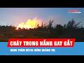 Hàng trăm hécta rừng Quảng Trị cháy trong nắng nóng gay gắt