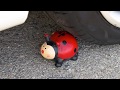 カリカリのおもちゃを粉砕！