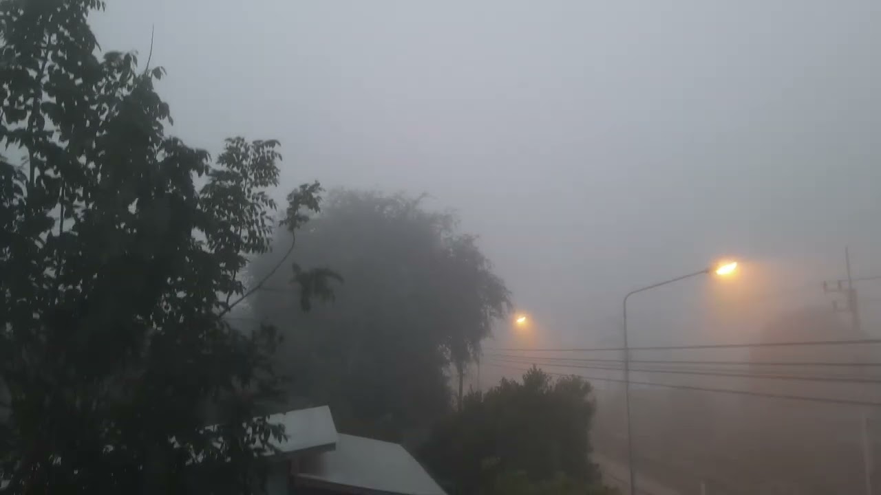Foggy/misty morning Ban Pong Khong Chiang Sean Northern Thailand 19 January 2025