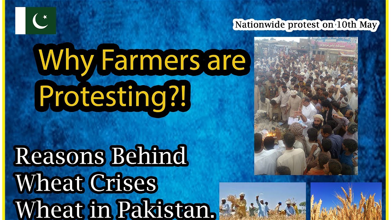 Wheat Crises in Pakistan | Farmers Call for Urgent Action | Protest on ...