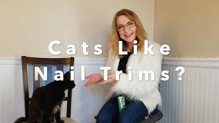 How To Get Your Cat to Like Nail Trims!