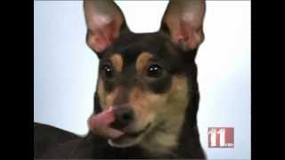 WTOL 11 Your Morning-Bigger is Better