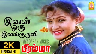 Ival Oru Ilanguruvi - 2K Video Song | இவள் ஒரு இளங்குருவி | Bramma | Sathyaraj | laiyaraaja SPB