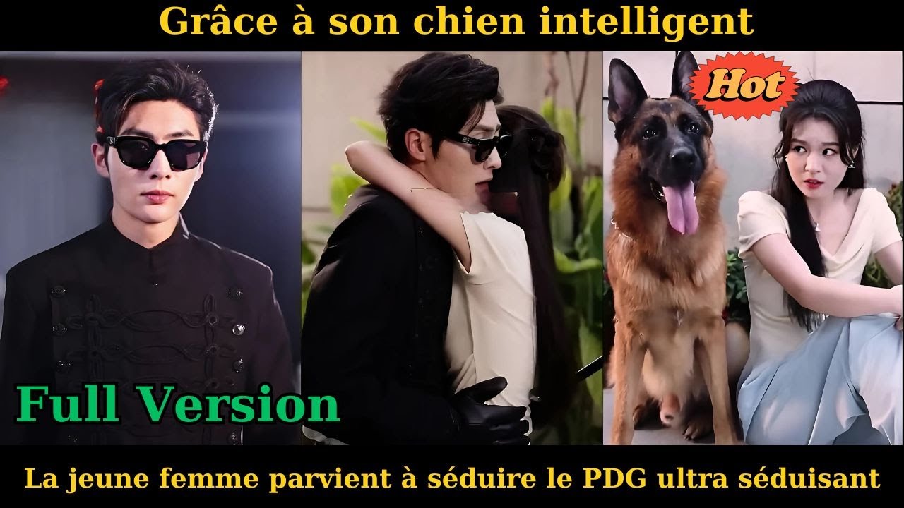 Grâce à son chien intelligent, la jeune femme parvient à séduire le PDG ultra séduisant #drama