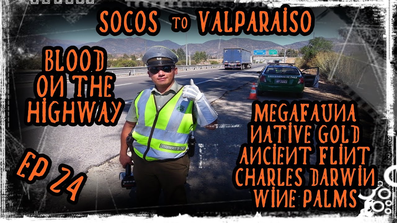 EP24 Socos to Valparaiso: wind turbines, bloody accident, Conquistador gold, Darwin's "Wine Palm"