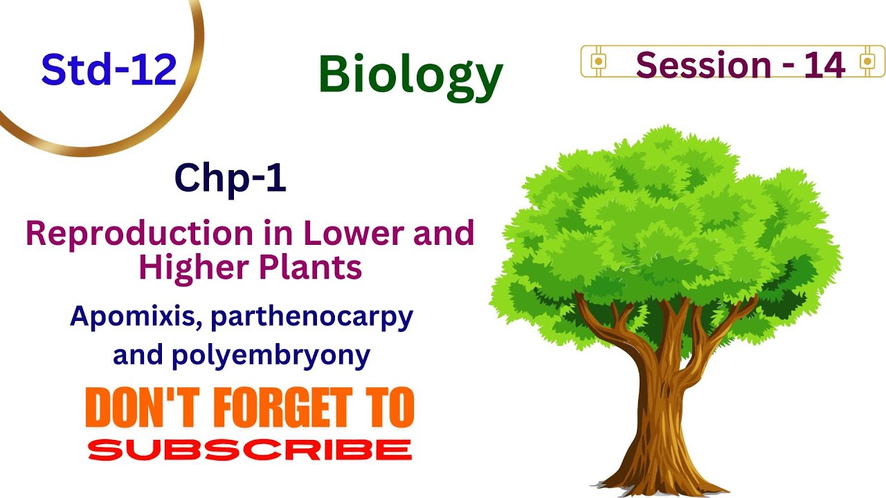 Session 14 - YouTube