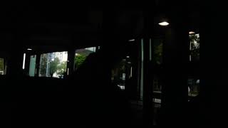 輕鐵615P(第一期1036)屯門碼頭總站至蝴蝶