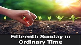 Pope St. John XXIII Parish | Tacoma, WA | 07/11/26 | Fifteenth Sunday in Ordinary Time | 4:30pm Mass