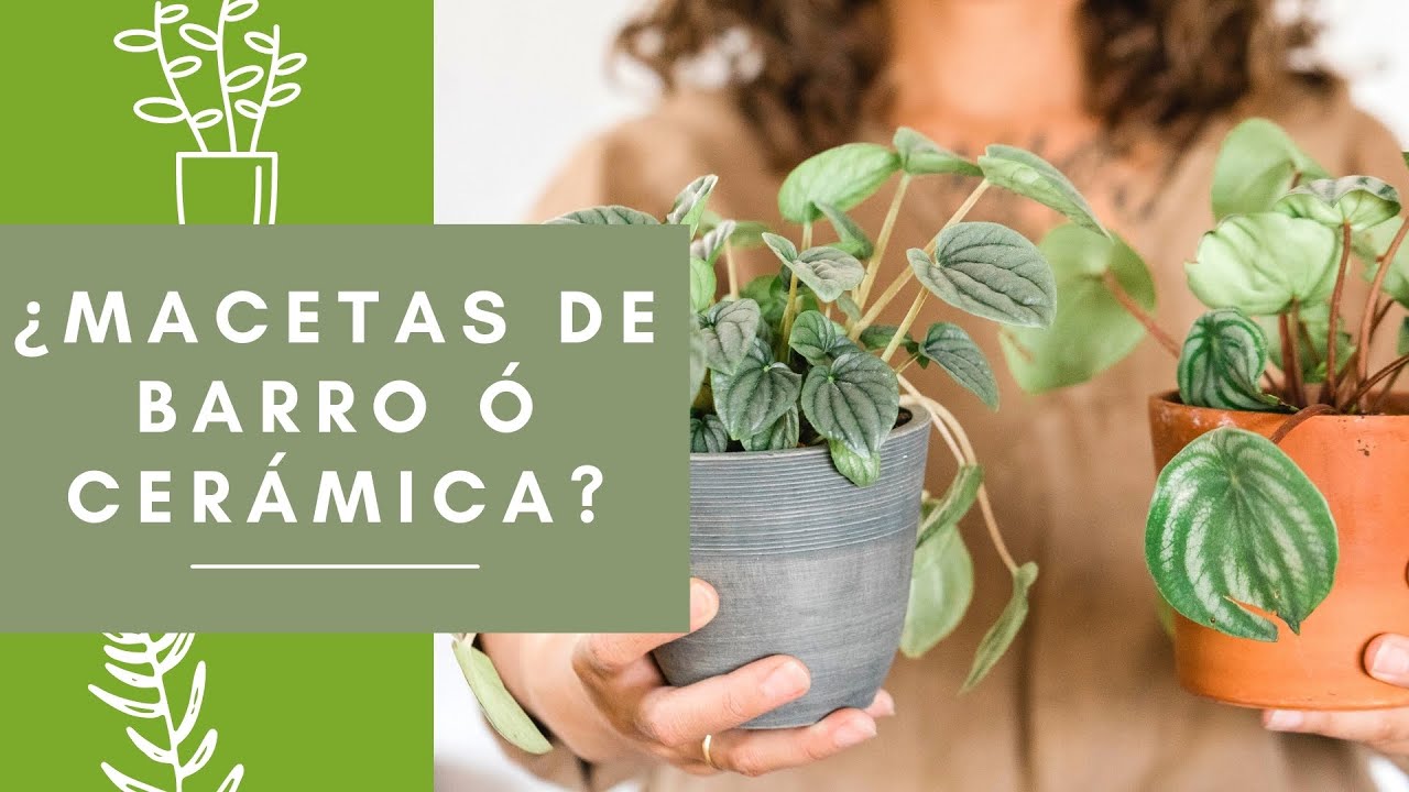 ¿MACETAS DE BARRO O DE CERÁMICA?