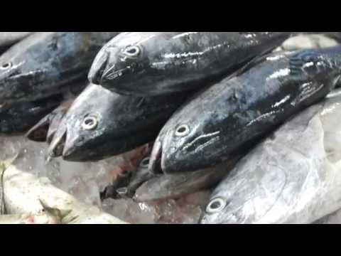 How to make your own organic fish fertilizer