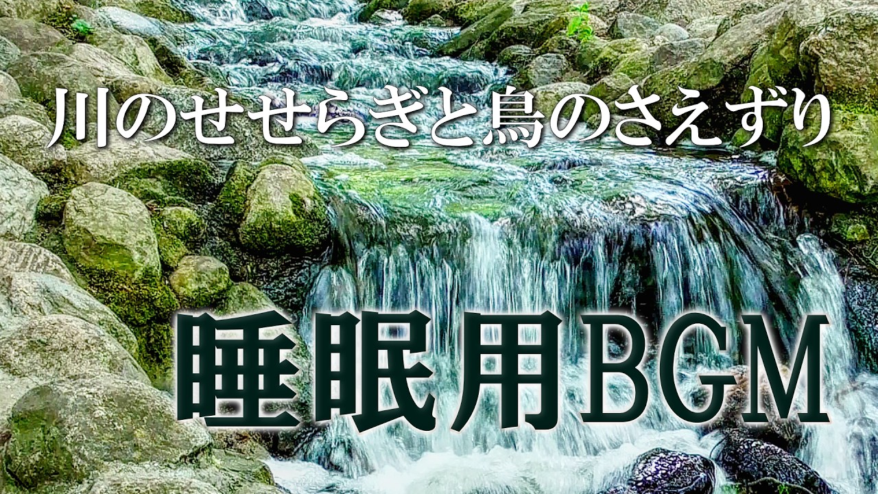 睡眠用自然音】川のせせらぎと鳥のさえずり｜癒しの森でリラックス