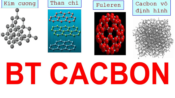 Bài tập và lý thuyết cac bon silic năm 2024