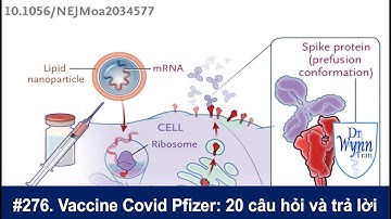 # 276. Vaccine Covid-19 Pfizer: 20+1 câu hỏi và trả lời với BS Wynn Tran