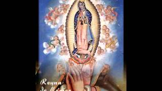 Oración a la Virgen de Guadalupe. Perfume de Mujer.