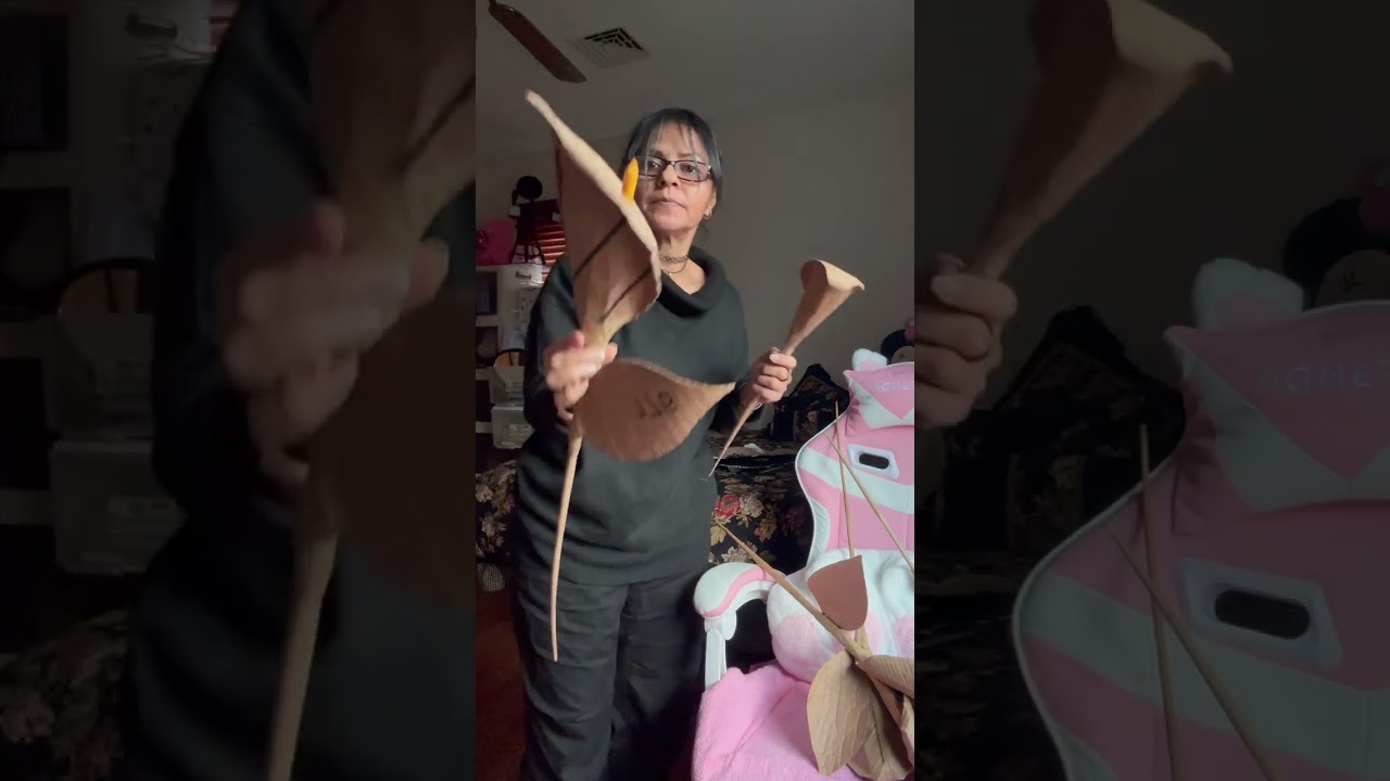 Vean lo que se puede hacer con carton de la basura