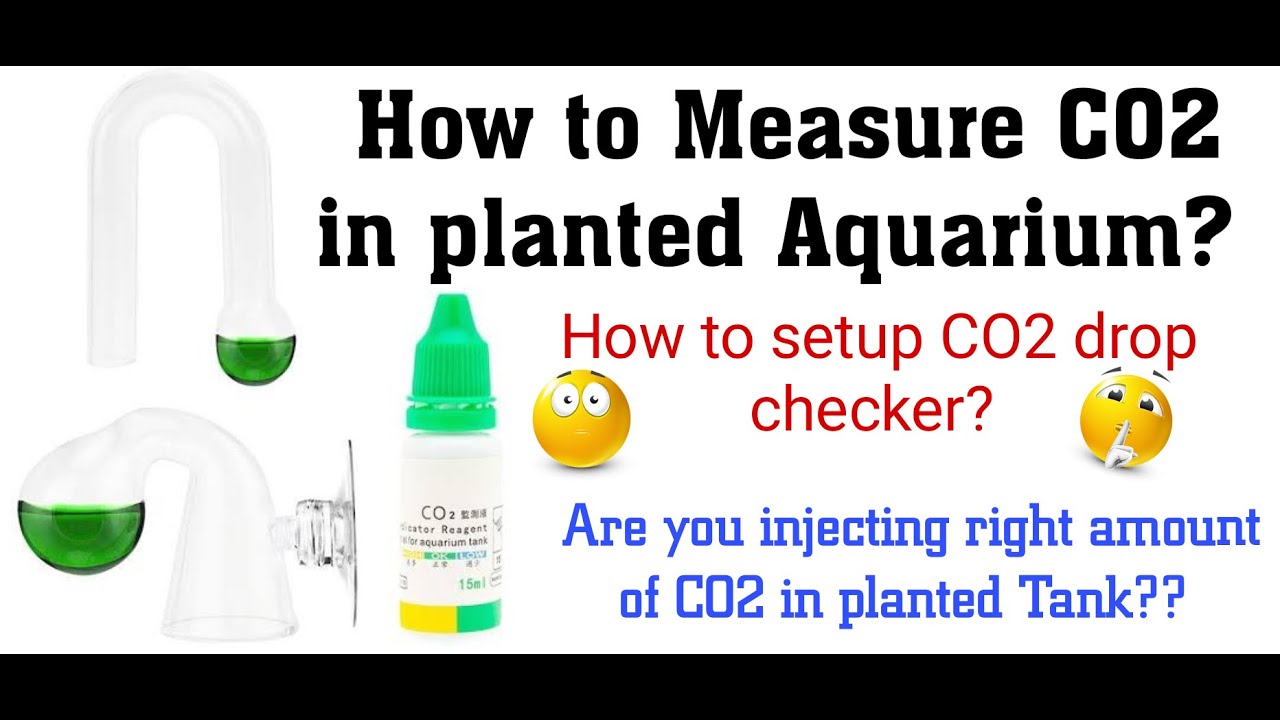 CO2 Measurement Using A Drop Checker